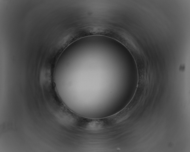 X0000090410700200707131148