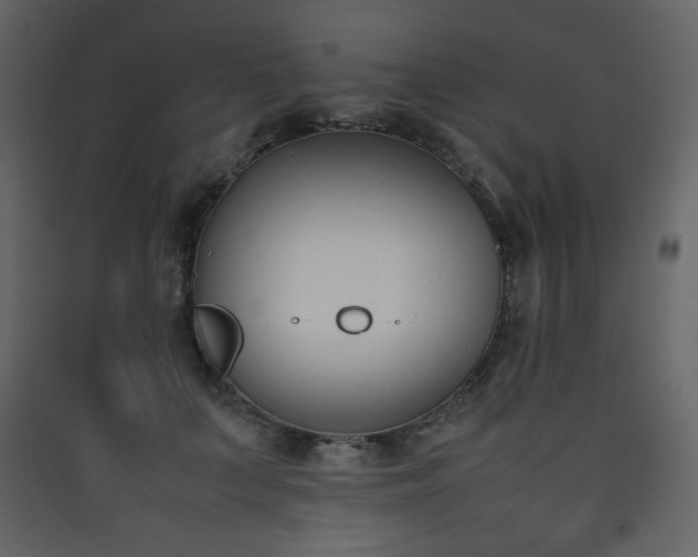 X0000090410703200707131147