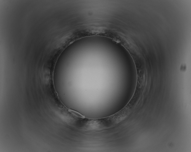 X0000090410704200707131147