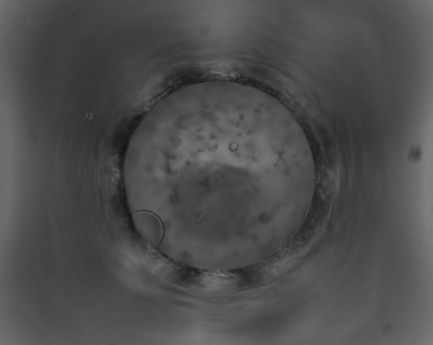 X0000090410707200707131147
