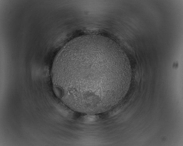 X0000090410711200707131147
