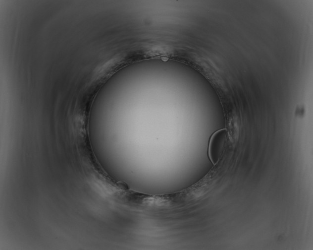 X0000090410714200707131147