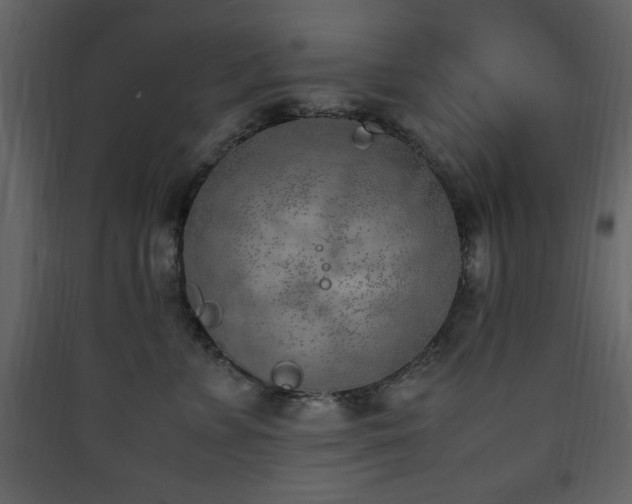 X0000090410715200707131147