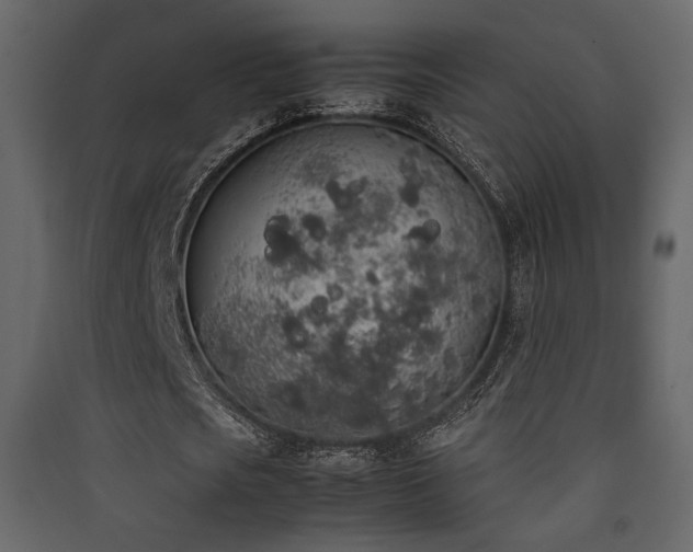 X0000090410721200707131146
