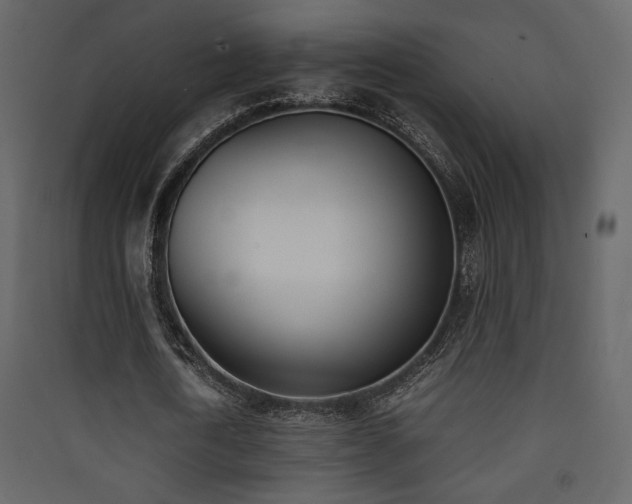 X0000090410722200707131146