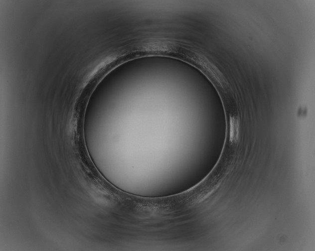 X0000090410723200707131147