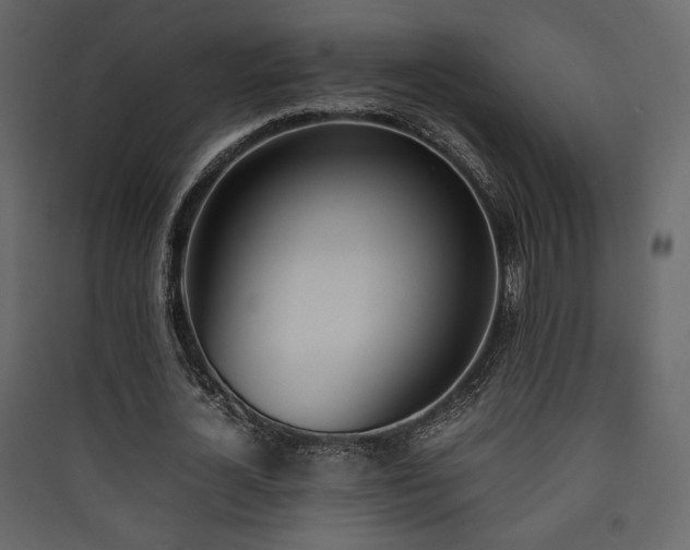 X0000090410724200707131147
