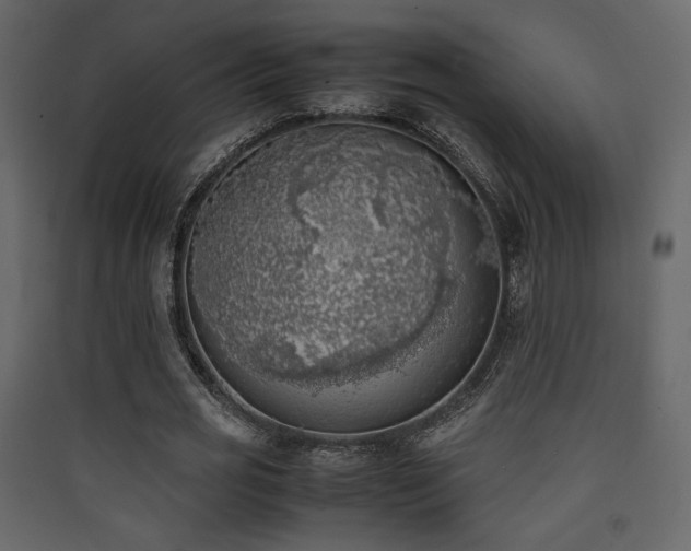 X0000090410725200707131147