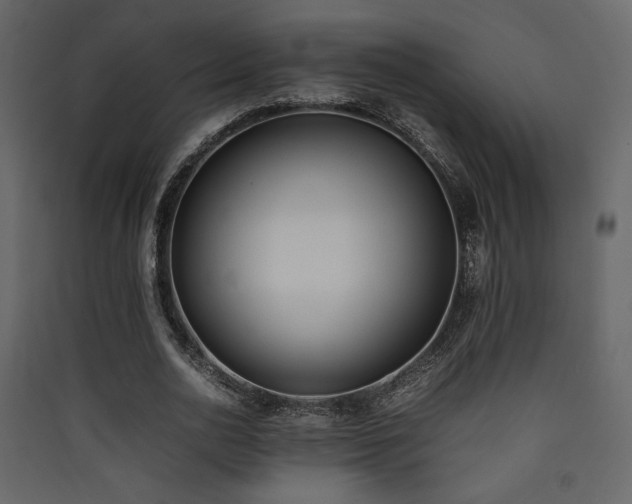 X0000090410726200707131147