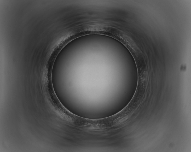 X0000090410727200707131147