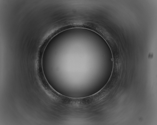 X0000090410728200707131147