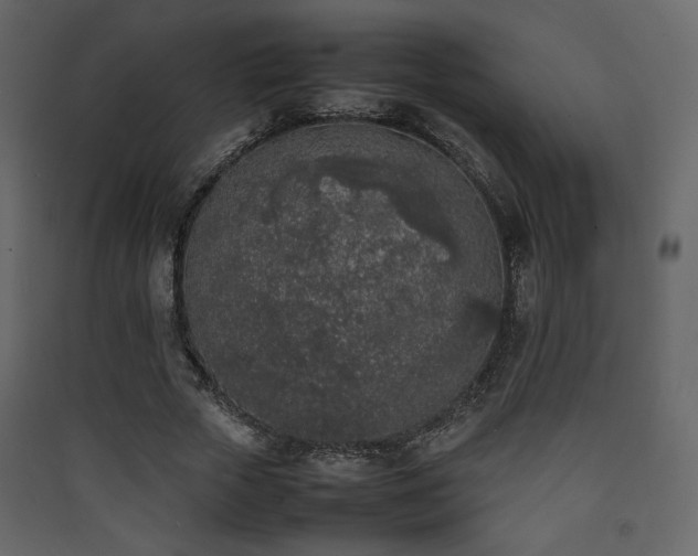 X0000090410729200707131147