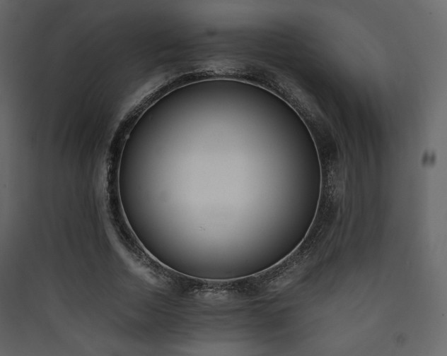 X0000090410730200707131147