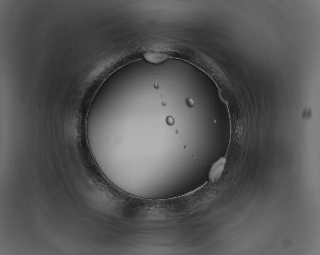 X0000090410732200707131147