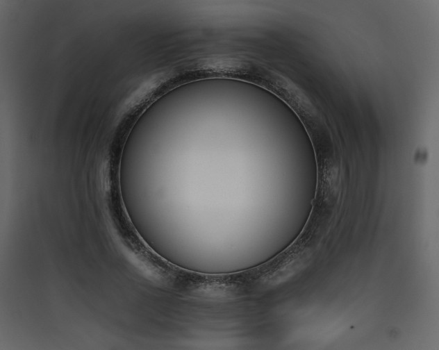 X0000090410734200707131147
