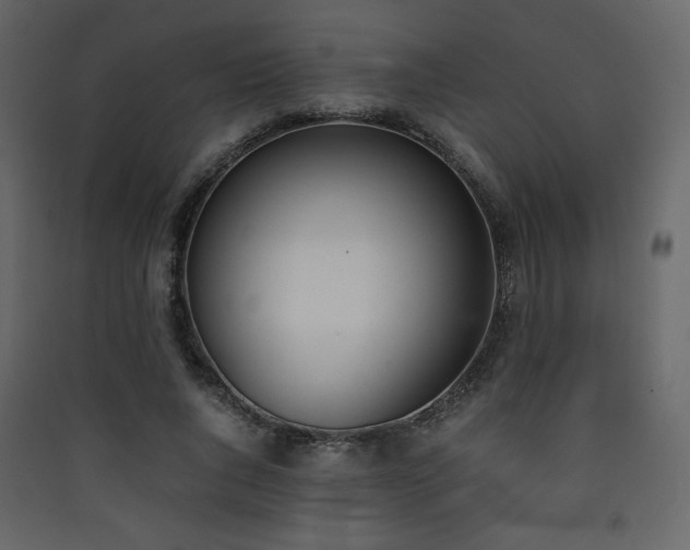 X0000090410736200707131147