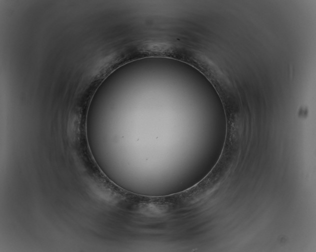X0000090410739200707131147