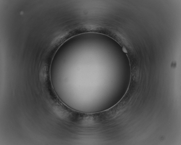 X0000090410740200707131147