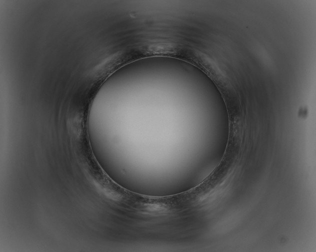 X0000090410741200707131147