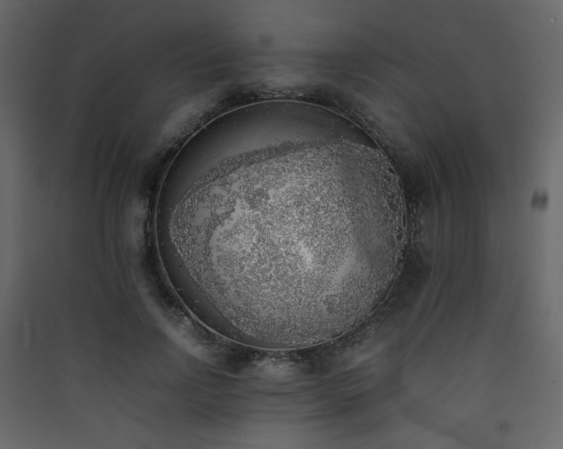 X0000090410742200707131147