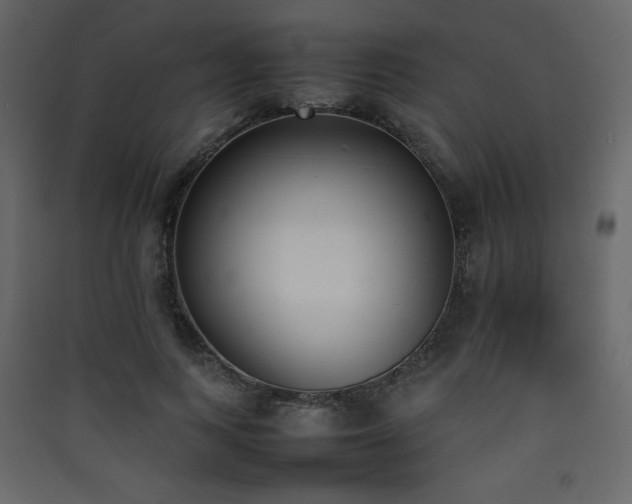 X0000090410743200707131147