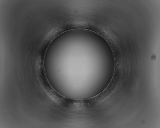 X0000090410744200707131147
