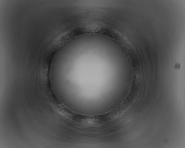 X0000090410745200707131147