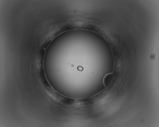 X0000090410746200707131147