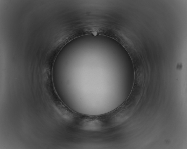 X0000090410747200707131147