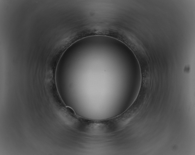 X0000090410748200707131147