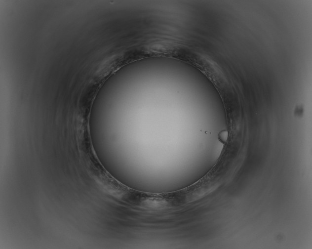 X0000090410749200707131147