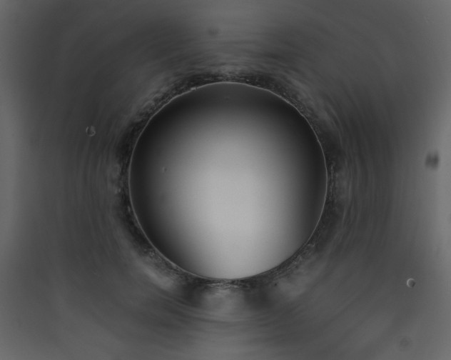 X0000090410750200707131147