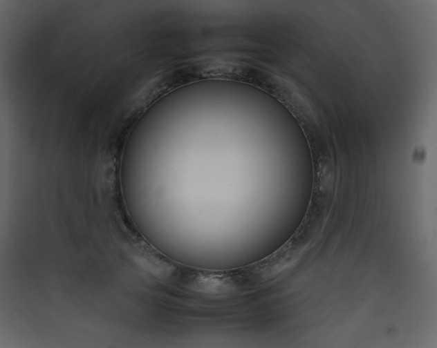 X0000090410753200707131147