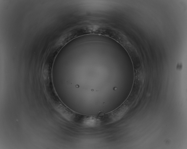 X0000090410754200707131147