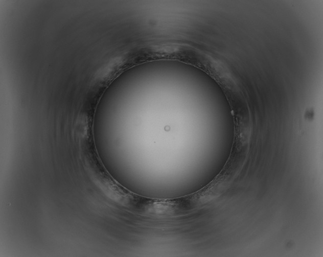 X0000090410758200707131147