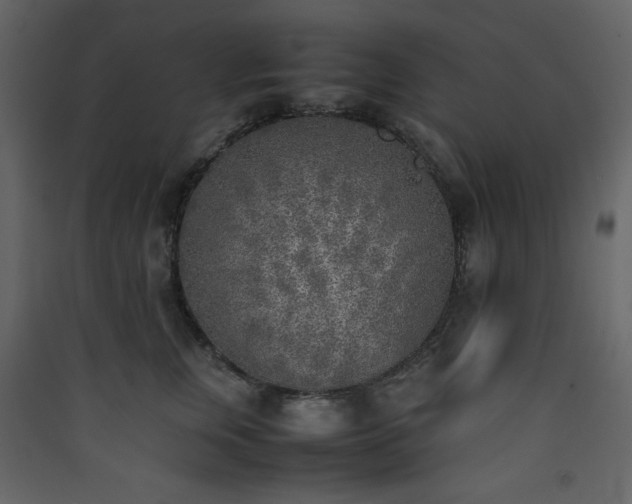 X0000090410759200707131147