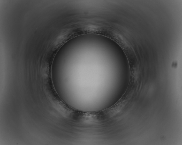 X0000090410760200707131147