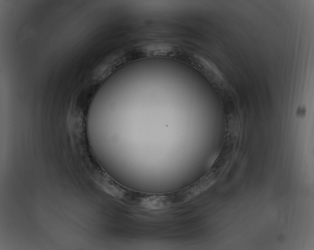 X0000090410761200707131147