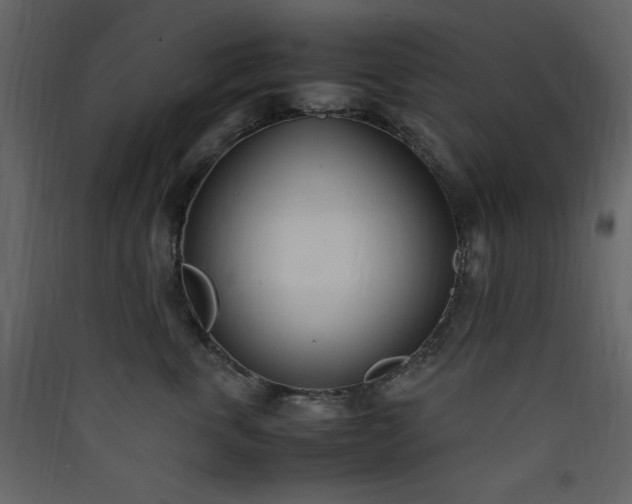 X0000090410763200707131147