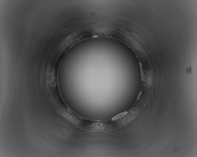 X0000090410764200707131147