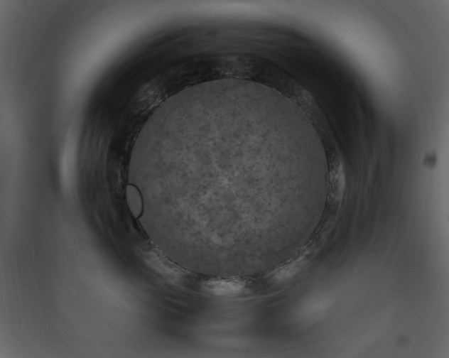 X0000090410765200707131147
