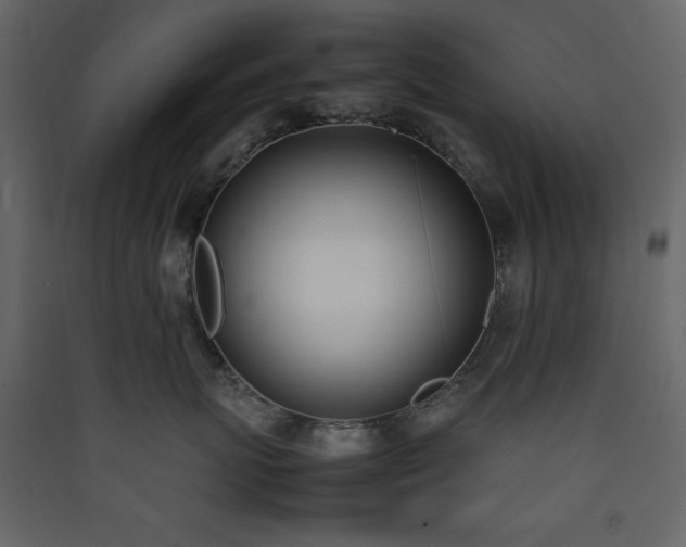 X0000090410767200707131147