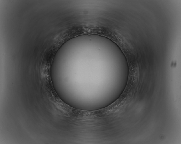 X0000090410770200707131146
