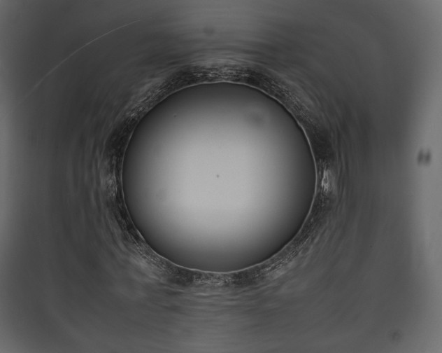 X0000090410771200707131146
