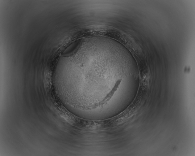 X0000090410772200707131146
