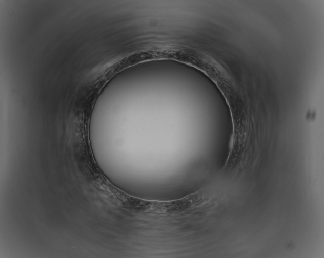 X0000090410773200707131146