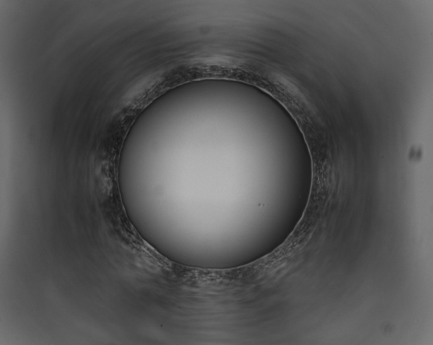 X0000090410774200707131146