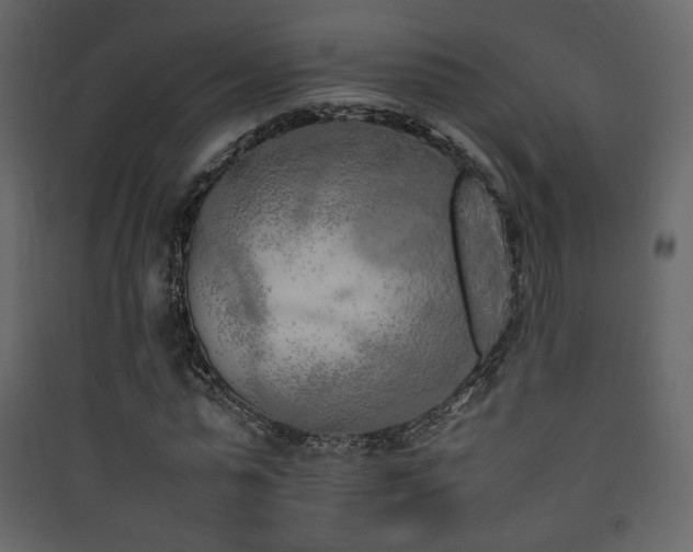 X0000090410775200707131146