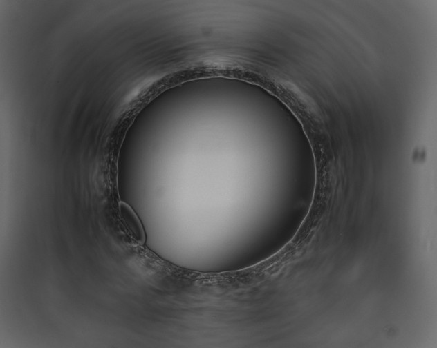 X0000090410776200707131146