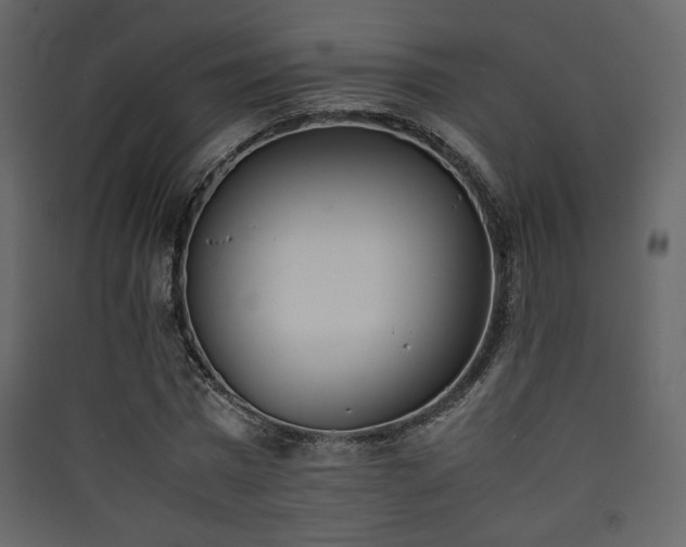 X0000090410777200707131146